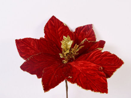 Slika Božićna zvijezda pik 15 cm