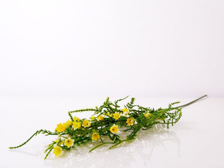 Slika Poljsko cvijeće 63 cm
