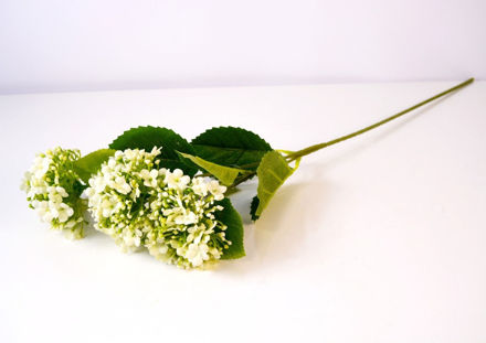 Slika Grana hortenzija 63 cm