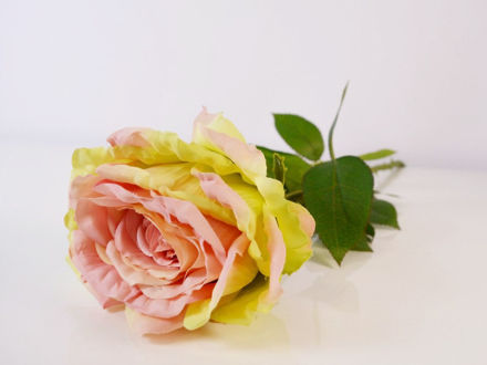Slika Ruža 75 cm