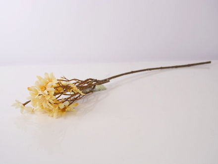 Slika Grana margaritela 57 cm