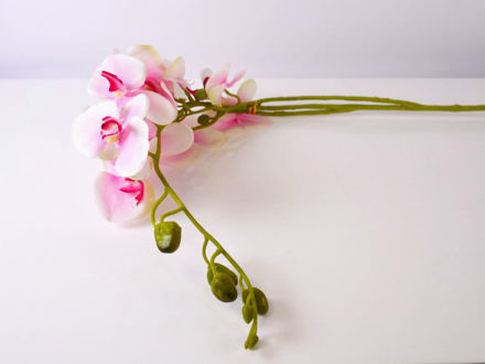 Umjetna orhideja 120 cm