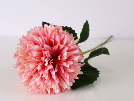 Slika Cvijet 56 cm