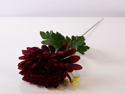 Slika Cvijet 47 cm