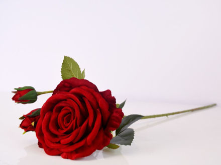 Slika Ruža 78 cm, pliš crvena