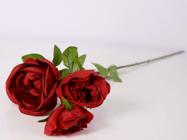 Slika Ruža 68 cm