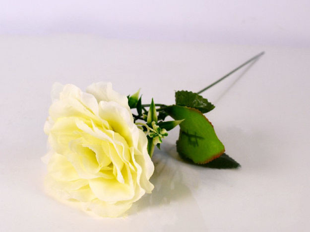 Slika Ruža 40 cm