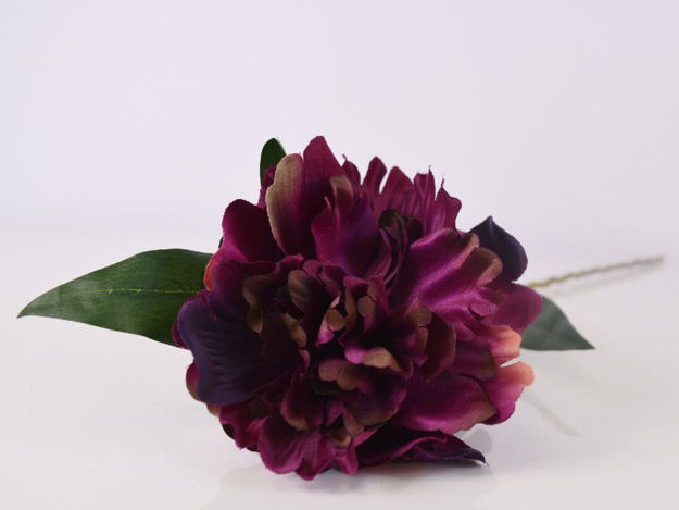 Slika Cvijet 57 cm
