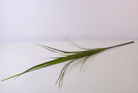 Slika Trava 85 cm