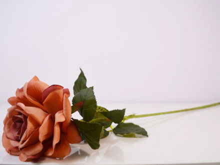 Slika Ruža 74 cm