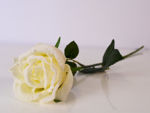 Slika Ruža 56 cm
