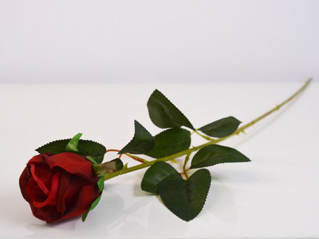 Slika Ruža 63 cm