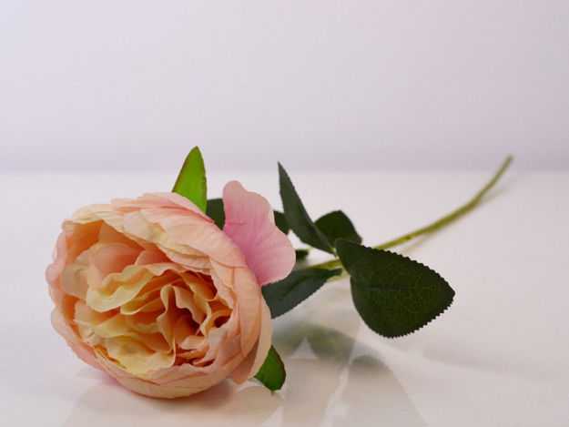 Slika Ruža 54 cm