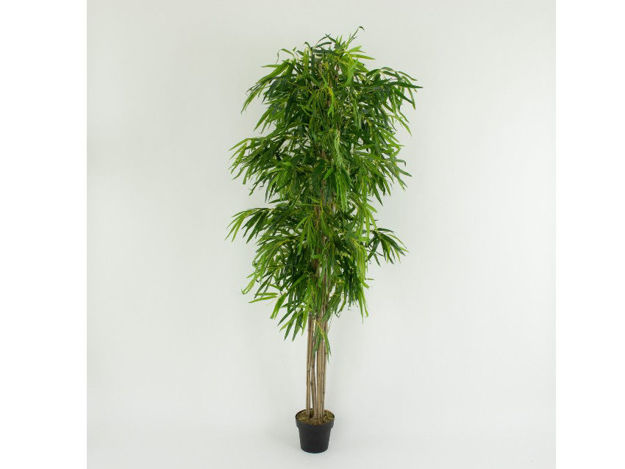 Slika Umjetni bambus 210 cm