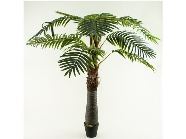 Slika Umjetno drvo palma 250 cm