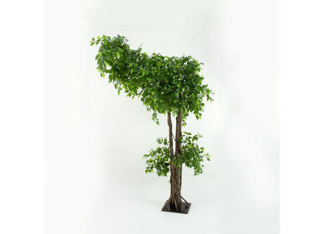 Slika Umjetno drvo fikus 250 cm