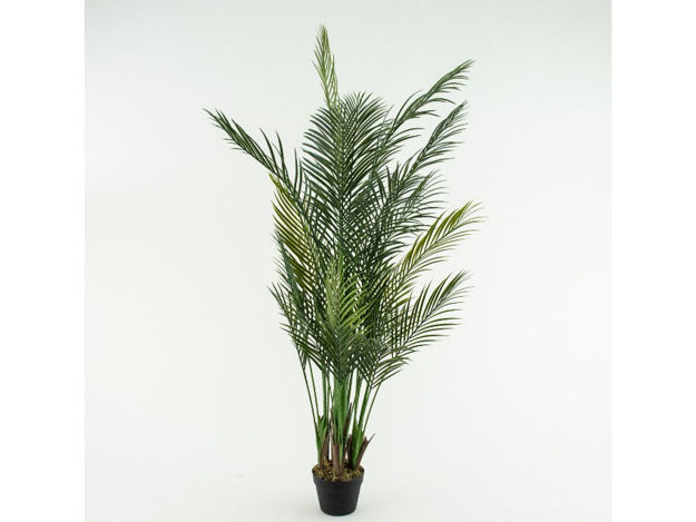 Slika Umjetno drvo palma 160 cm
