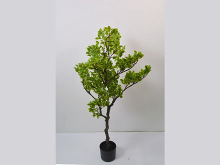 Slika Umjetno drvo pittosporum 110 cm, žuto-zelena