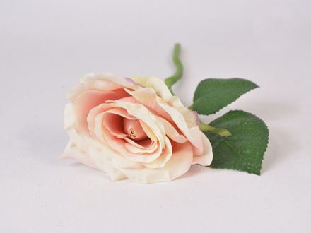 Slika Ruža 31 cm, sv.roza