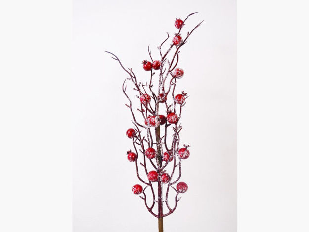 Slika Grana berry 50 cm