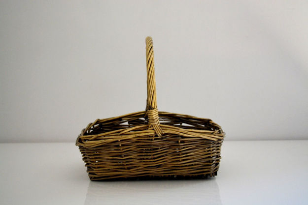 Slika Košara pruće 26x17x8 cm