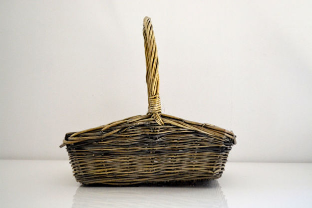 Slika Košara pruće 30x21x8 cm