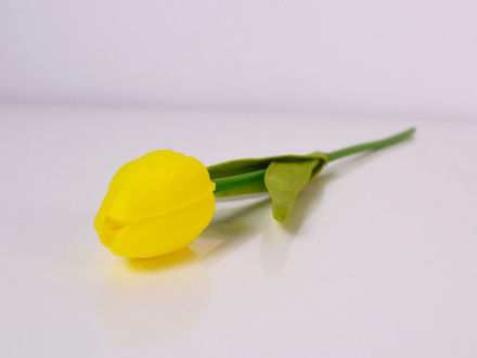 Slika Tulipan 32 cm