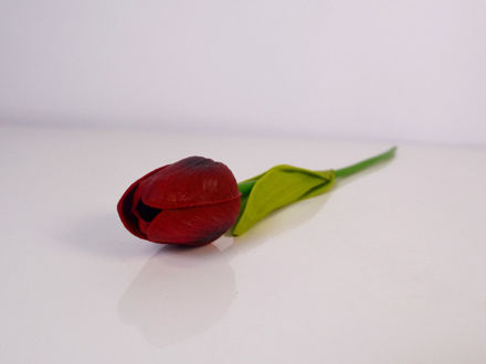 Slika Tulipan 32 cm