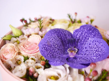 Slika Flower box - mix cvijeće