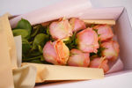 Slika Flower box - ruže u boji