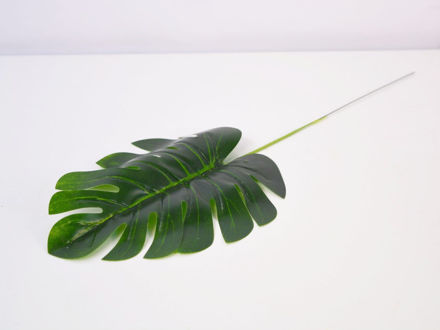 Slika List monstera 42 cm