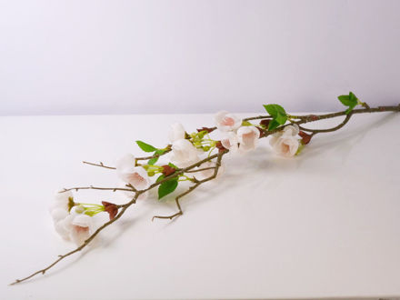 Slika Grana trešnje 100 cm