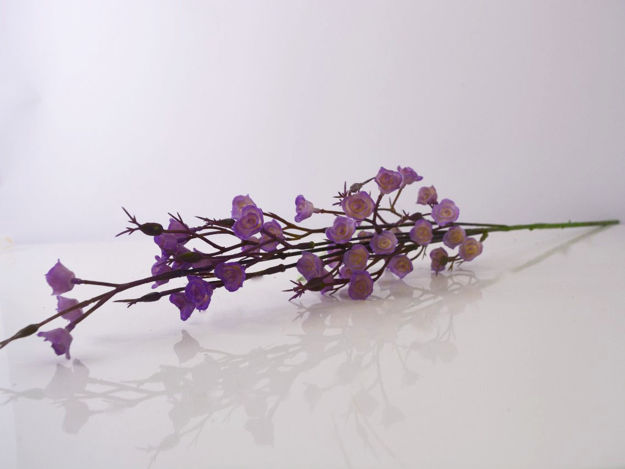 Slika Poljsko cvijeće 69 cm