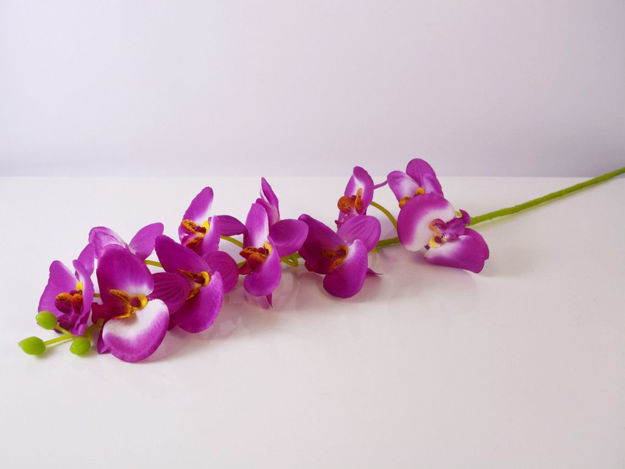 Slika Orhideja 80 cm
