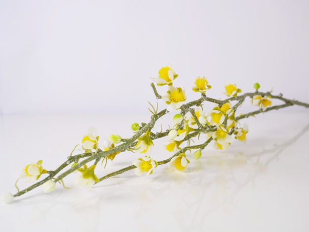 Slika Grana trešnje 77 cm