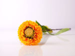 Slika Cvijet 47 cm