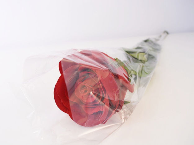 Slika Ruža u celofanu 80 cm