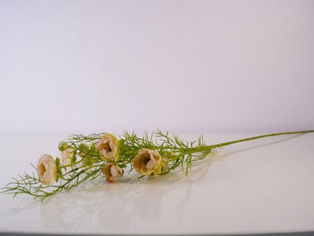 Slika Grana ranonkula 77 cm