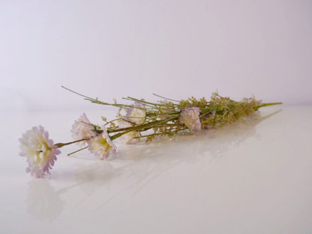 Slika Poljsko cvijeće 57 cm