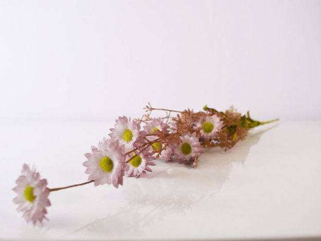Slika Poljsko cvijeće 61 cm