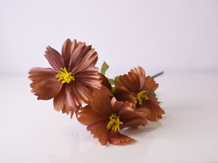 Slika Coreopsis 52 cm