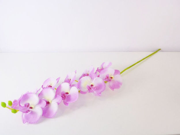 Slika Orhideja 80 cm