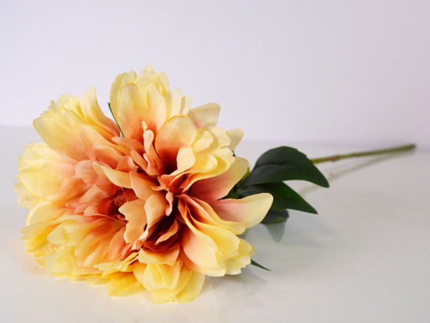 Slika Cvijet 70 cm