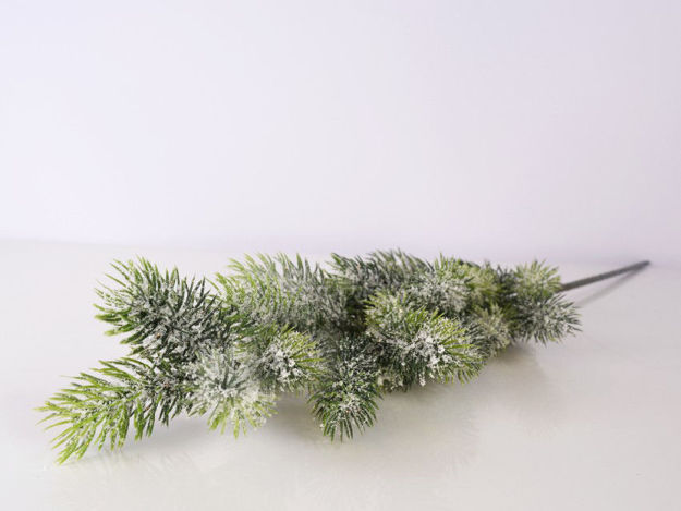Slika Grana bora 65 cm