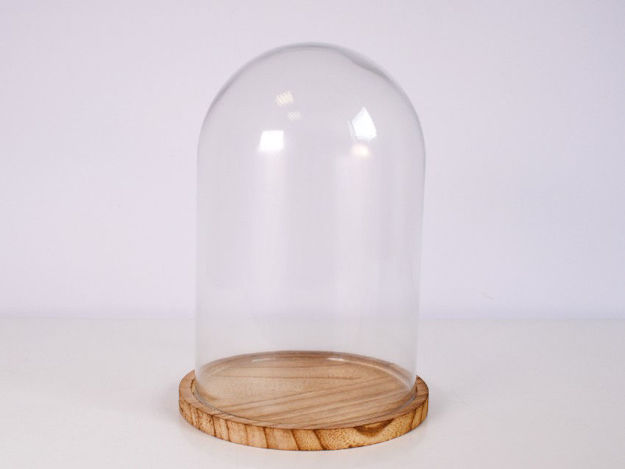 Slika Stalak sa zvonom staklo/drvo 17 cm x 25 cm