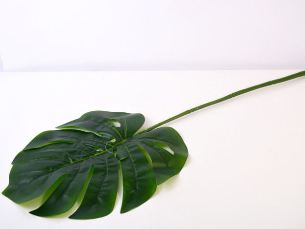 Slika List monstera 74 cm x 26 cm