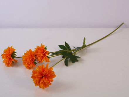Slika Cvijet 58 cm