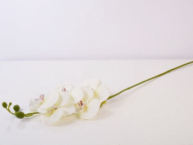 Slika Orhideja 72 cm