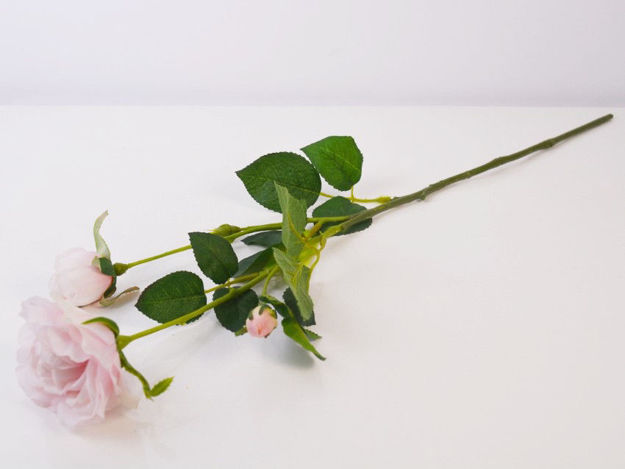 Slika Grana ruže 60 cm