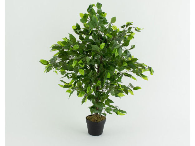 Slika Umjetno drvo ficus 90 cm